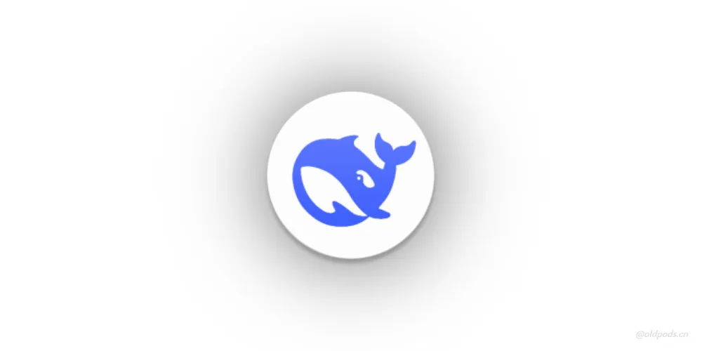 Deepseek_1.5.5