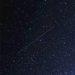 AndyYuzuo的头像-老豆荚Oldpods