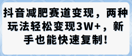 抖音减肥赛道变现，两种玩法轻松变现3W+，新手也能快速复制
