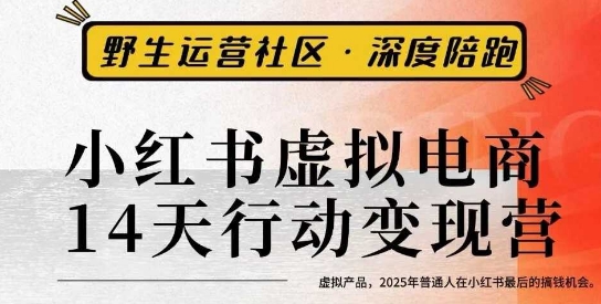 小红书虚拟电商14天变现训练营3.0，虚拟产品，2025年普通人在小红书最后的搞钱机会