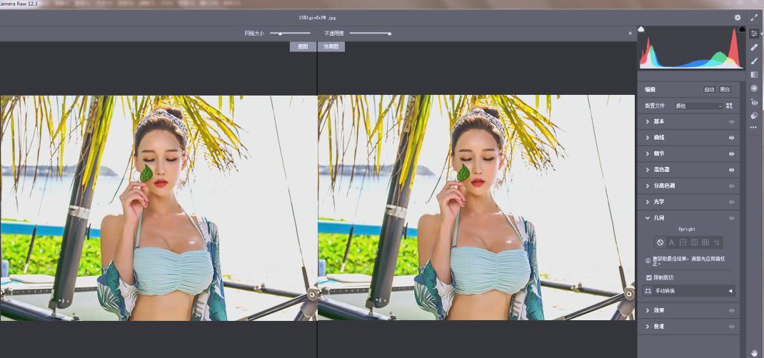 RAW处理Adobe Camera Raw v18.3.0中文版