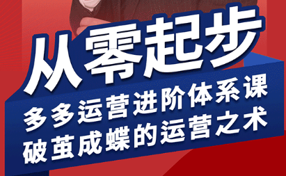 海神·拼多多运营进阶系统课(更新2026)