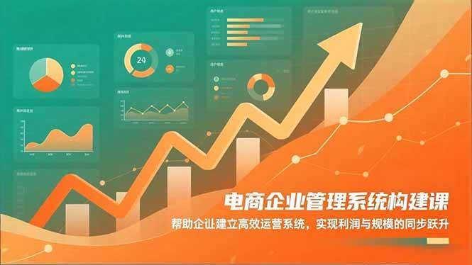 （16643期）电商企业管理系统构建课：帮助企业建立高效运营系统，实现利润与规模的同步跃升