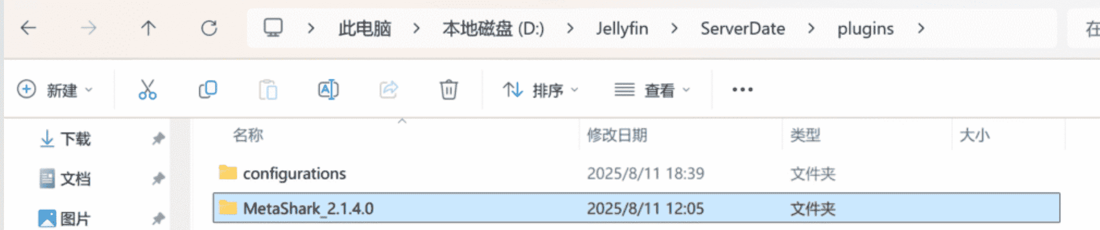 Jellyfin 插件目录位置