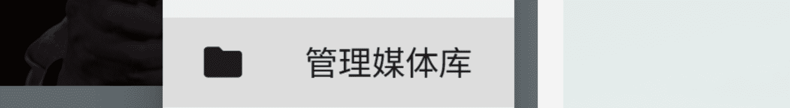 Jellyfin 媒体库管理入口