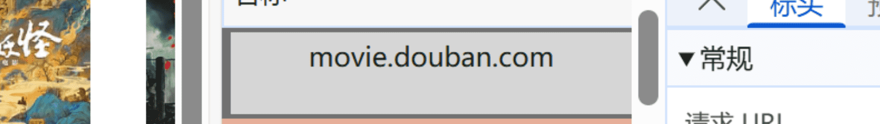 豆瓣网络请求项识别