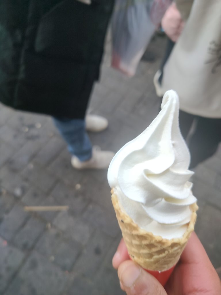 寒假难得一次玩-小燕子的博客