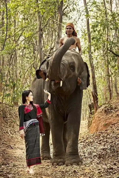 《女王的大象》