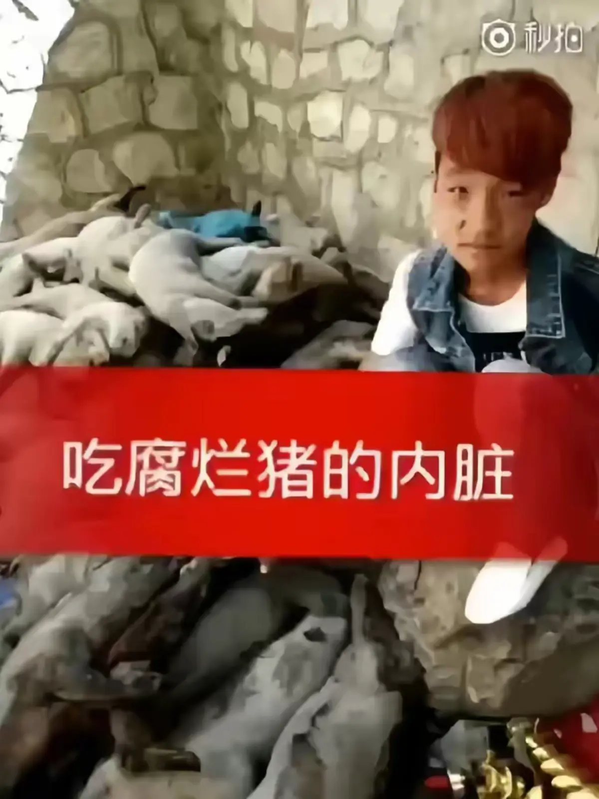 免费观看《网红胜哥吃腐烂猪内脏现场视频》，掌握事件来龙去脉，1080P高清画质呈现网红胜哥吃腐烂猪内脏现场