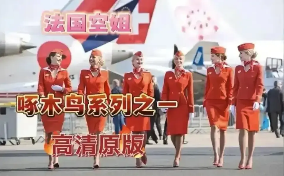 法国电影《啄木鸟系列电影合集》全集高清4k完整版免费观看_满天星《高压监狱vs法国空姐》无删减版免费播放-《啄木鸟系列电影合集》五部代表作分别讲述什么故事？一次看懂人物命运与成长