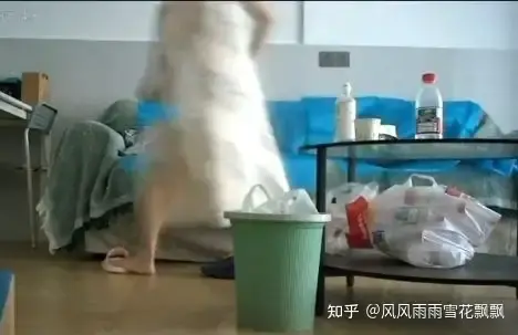 《湖南省人民医院祖雄兵曾琦》高清全集-湖南省人民医院祖雄兵曾琦同步更新资源在线看