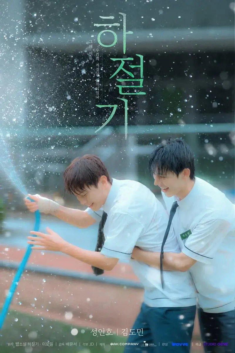 2026高分韩剧《夏日时光》12集全季HD高清免费无广告在线观看