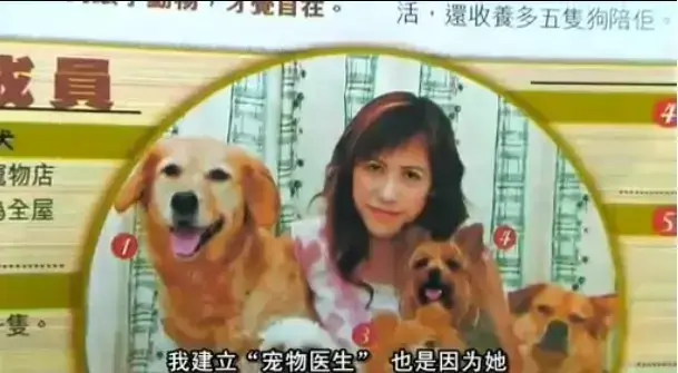 欧美大片《女人与狗》高清完整版免费看-1080P画质中文字幕呈现-《女人与狗》诠释忠诚与背叛的纠葛！