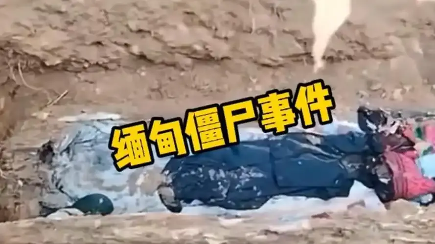 《缅甸僵王的复仇》现场录像大揭秘，4K超高清无删减免费看