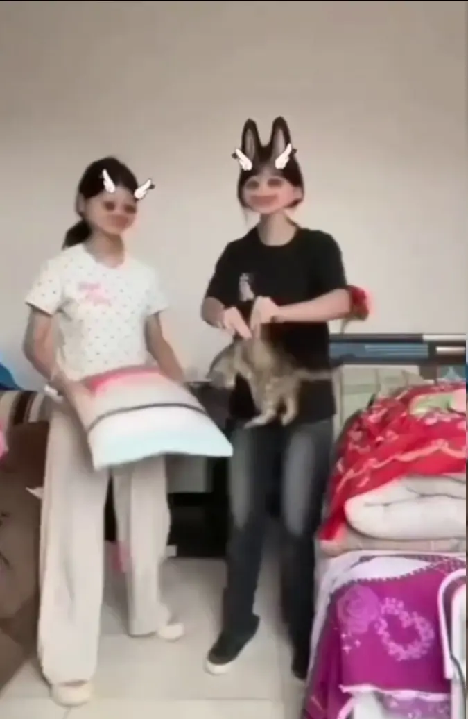 《快手两名女子拍摄虐猫事件》全片-夸克资源纯净极速-超高清蓝光体验-在线观看《快手两名女子拍摄虐猫事件》