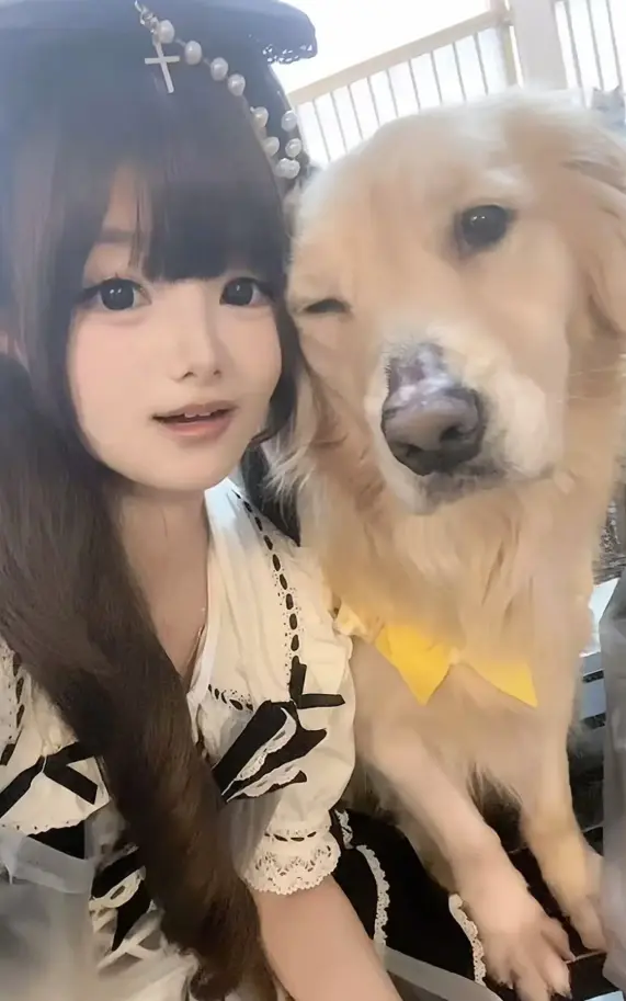 《金毛偷舔海鲜小蛋糕事件》完整版原视频在线观看无删减-金毛偷尝海鲜小蛋糕萌趣名场面免费播放-i人人影视找资源