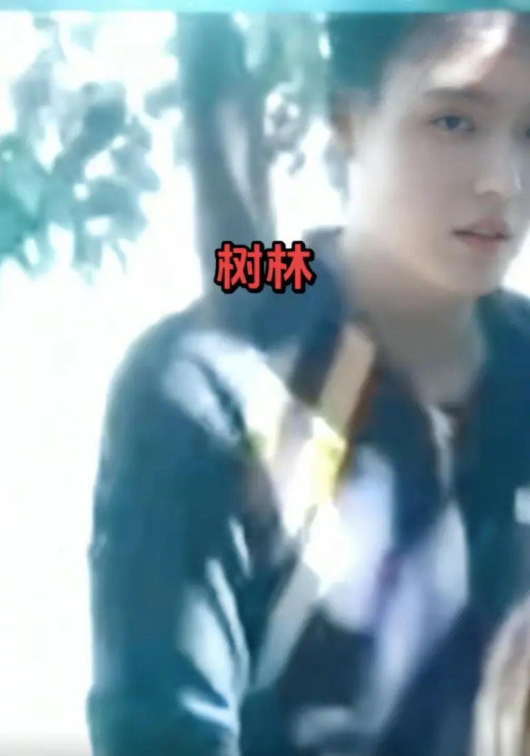 1080P高清画质播放《响水网红小树林》 - 探寻德邦快递员小树林事件详情