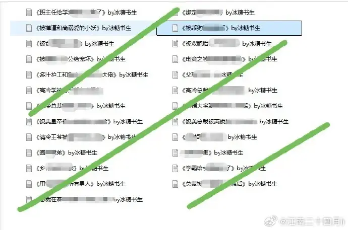 冰糖先生笔下《冰糖先生小说》，双胞胎情节扣人心弦，父慈子孝感人至深 -免费获取全本资源 - 流畅阅读不卡顿