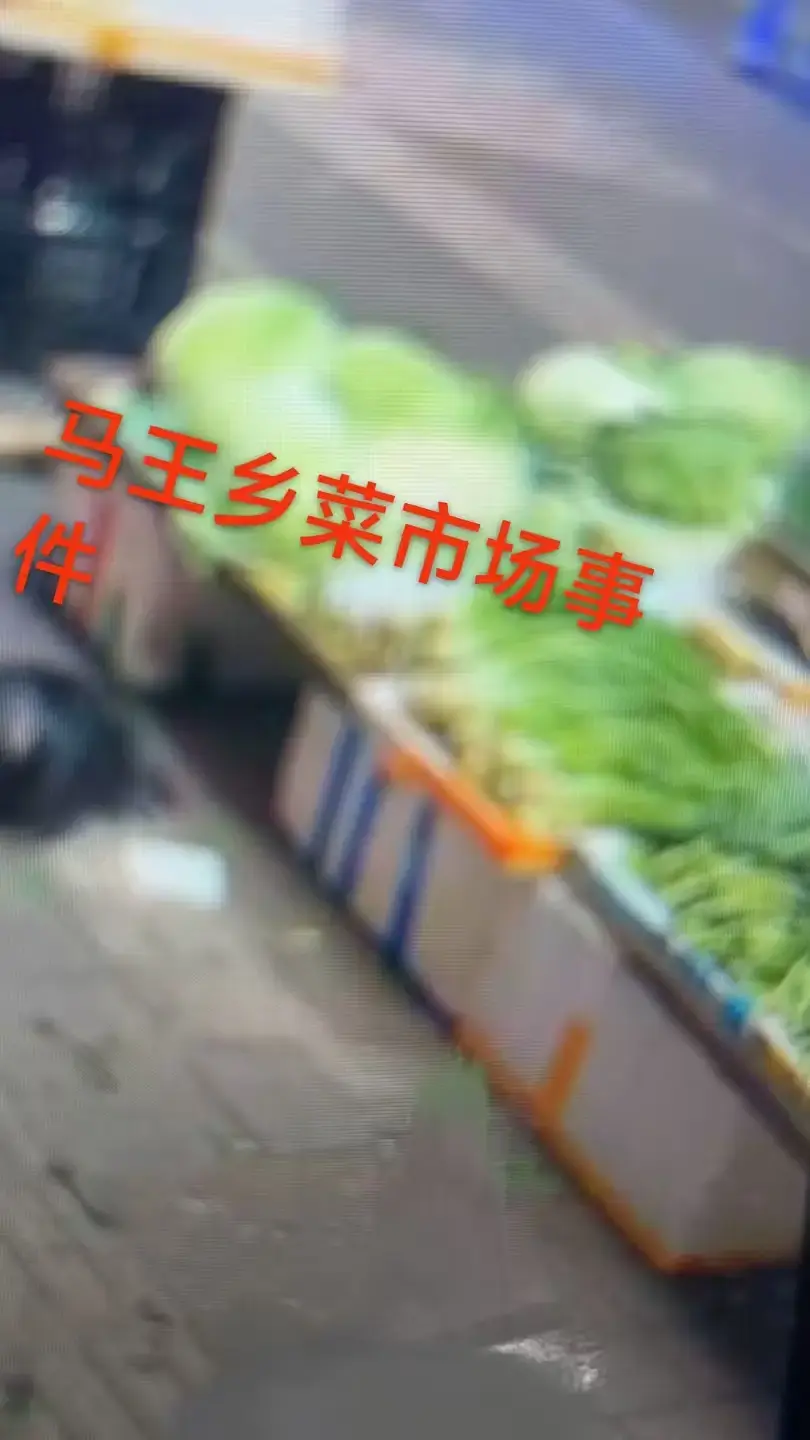 《重庆马王乡菜市场事件》一手视频曝光！4K超高清画质流畅播放，附关键节点时间标记，免费在线观看《重庆马王乡菜市场事件》