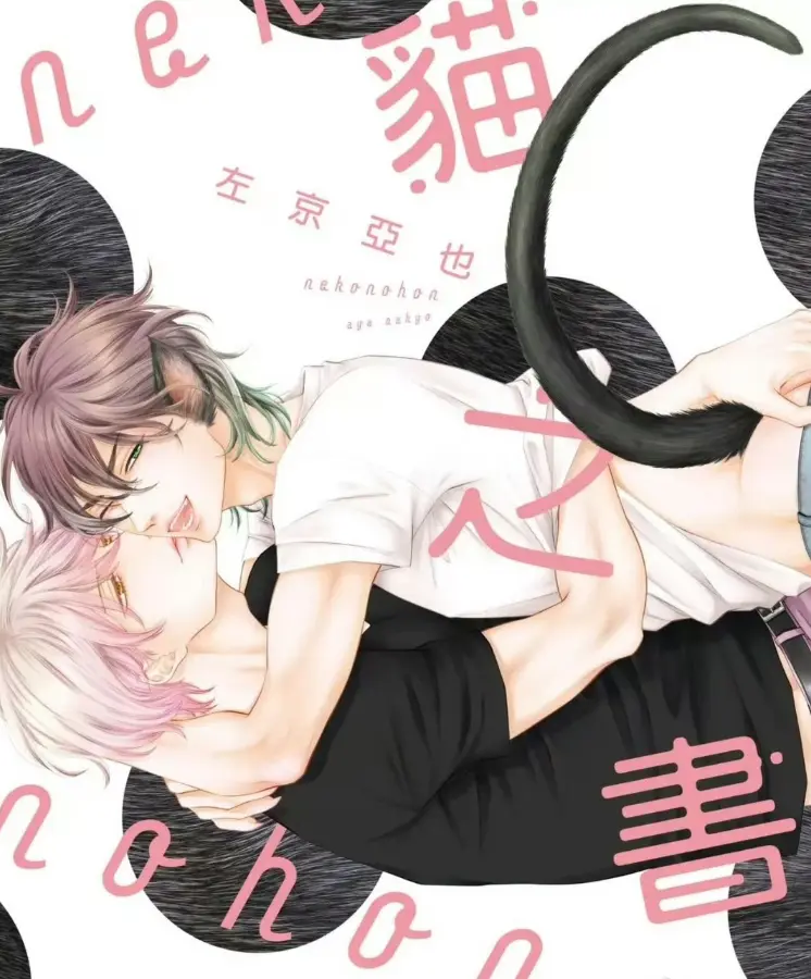 《黑猫男友系列》