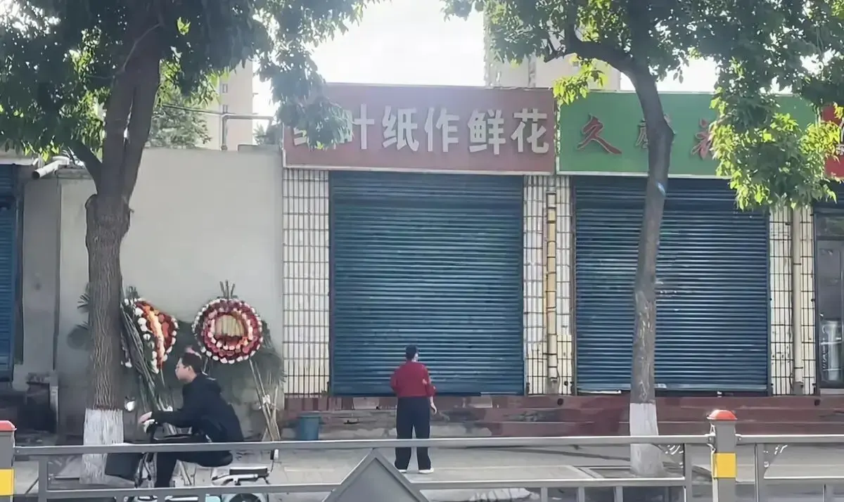 《原平纸作鲜花店门口》视频免费在线观看，原平纸作鲜花店门口视频HD高清播放-迅雷网盘资源快速下载