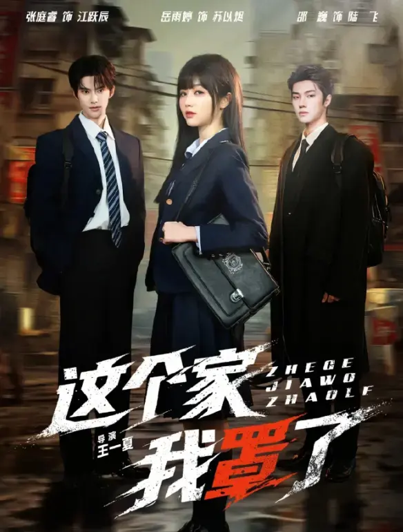 《这个家我罩了》蓝光高清全季未删减中文版 - 无广告免费在线极速观看
