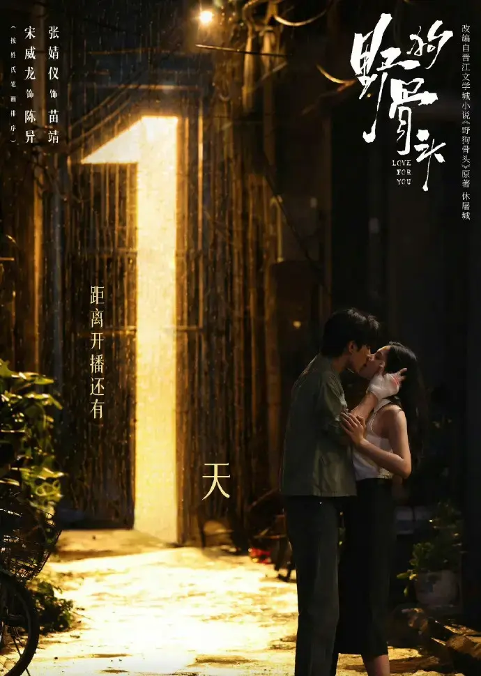 《野狗骨头》1080P高清画质无广告在线观看-电视剧《野狗骨头》全片免费获取-樱花影视-星空影院