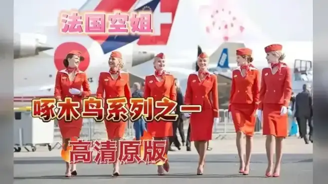 《法国空姐》蓝光画质免费在线看，无广告无弹窗，全集完整呈现 - 《法国空姐》最新同步更新资源下载