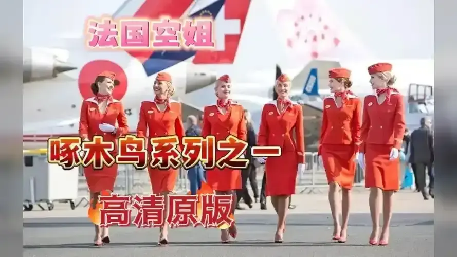 法国电影《法国空姐》1080P高清无广告在线播放-完整版《法国空姐》免费看全集-《法国空姐》最新同步更新
