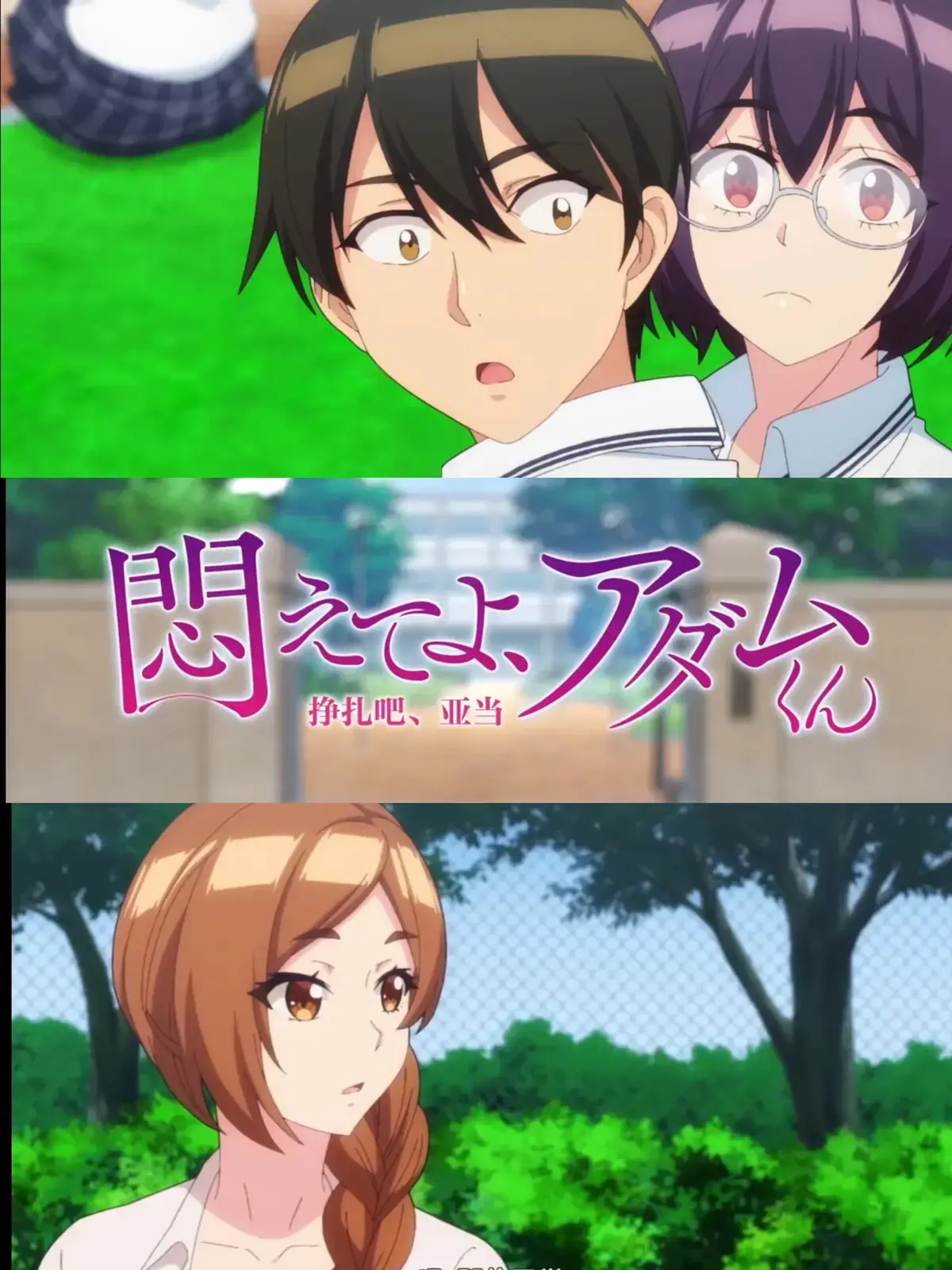 《挣扎吧亚当君》第二季无删减，高清无广告全集在线播放 - 挣扎吧亚当君免费畅享全季精彩 - 快来体验《挣扎吧亚当君》高清盛宴
