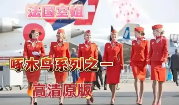 2026《法国空姐3》完整版高清全集免费在线观看_法国爱情电影《法国空姐》未删减版高清在线观看_电影_《法国空姐》免费在线观看完整版-高清无广告_热播电影-VS影院-星辰影院-HD中字版