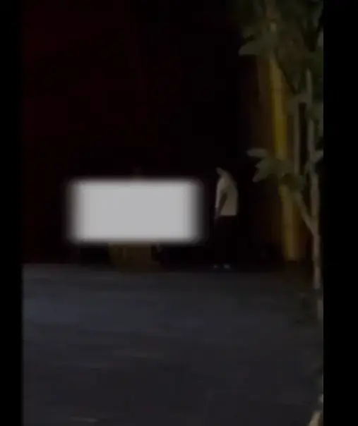 《黑龙江鸡西万达广场二号门一男一女事件完整版视频》_1080P超高清无删减_黑龙江鸡西万达广场一男一女事件_免费在线看_偶然目击实录全收录