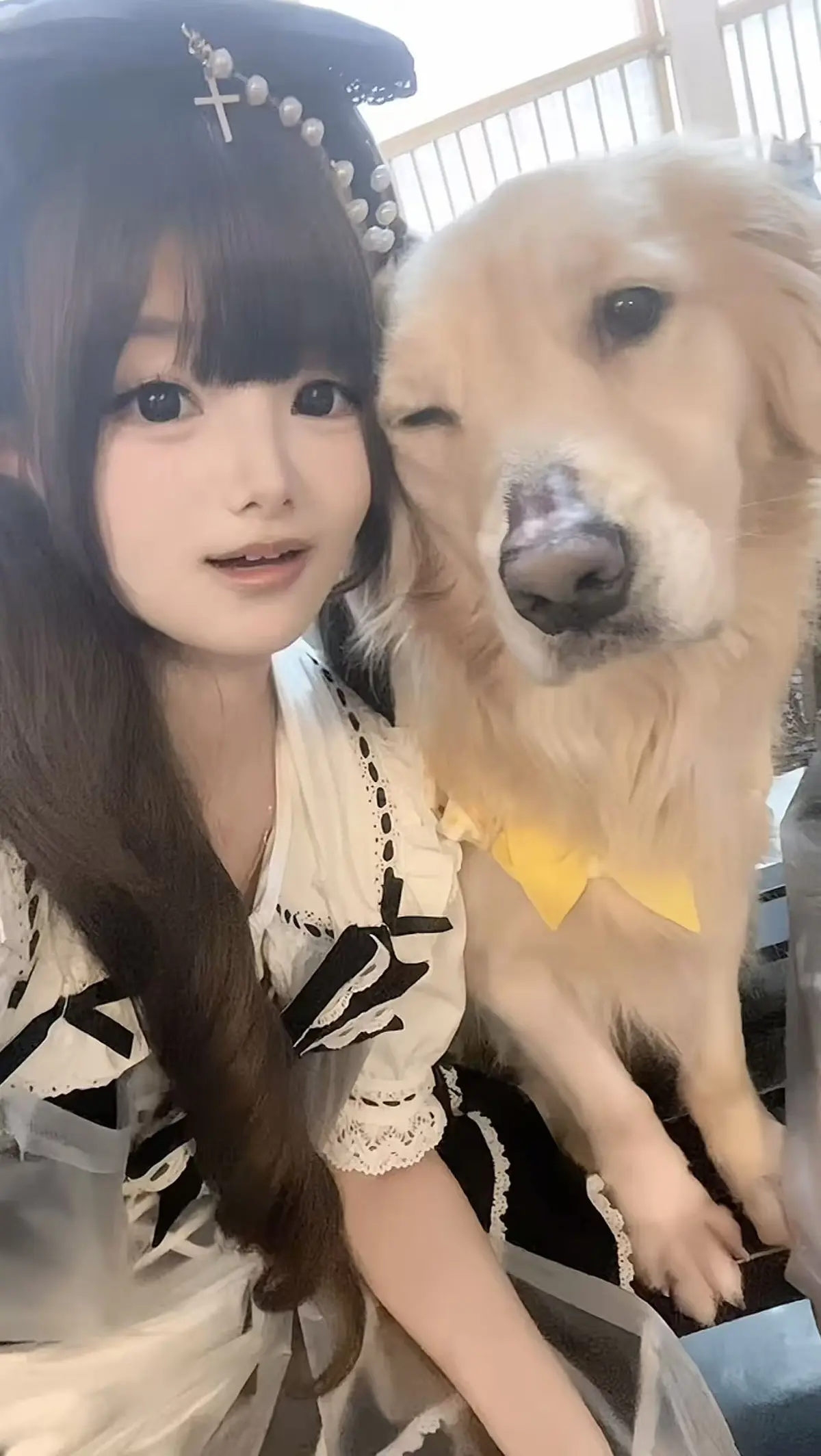 《金毛小蛋糕海鲜事件》高清完整版免费看 - 无广告流畅体验 - 聚焦金毛小蛋糕和海鲜事件 - 有香香公主元素