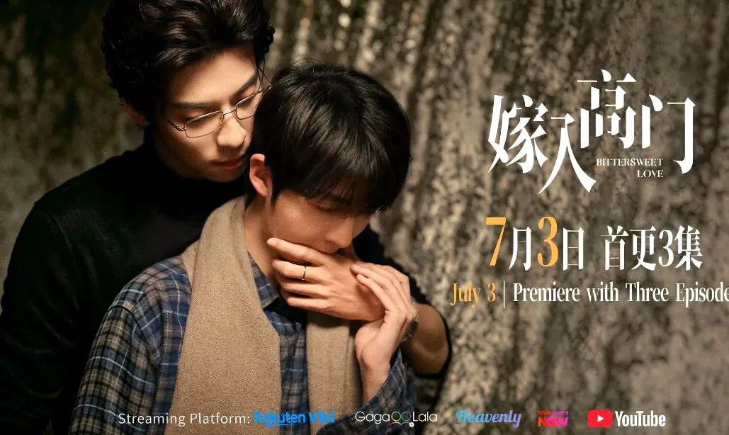 2026新剧双男主爱情剧《嫁入高门的男人》22集全片4K超高清免费在线观看 - 《嫁入高门的男人》持续有效