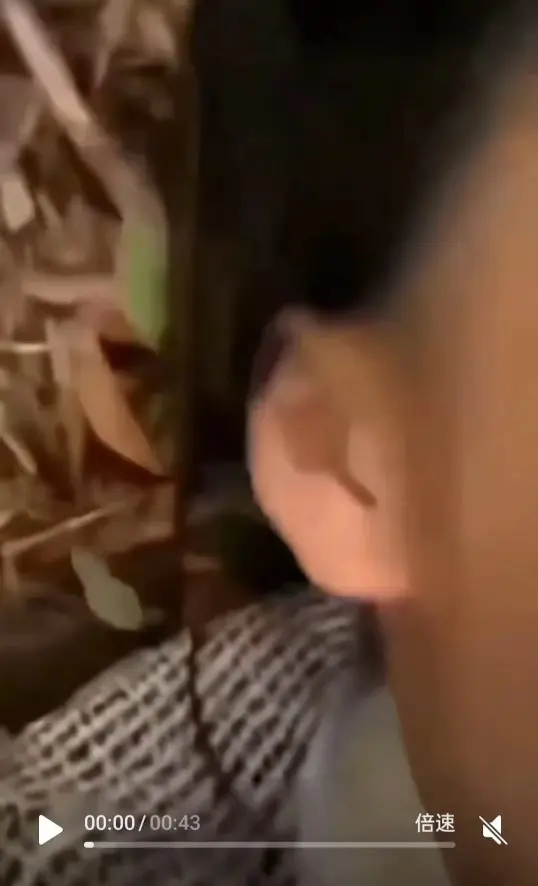 在线吃瓜必备！《女轻奢事件》呈现轻奢女孩双人大战，1080P高清无删减免费看，赶紧来！