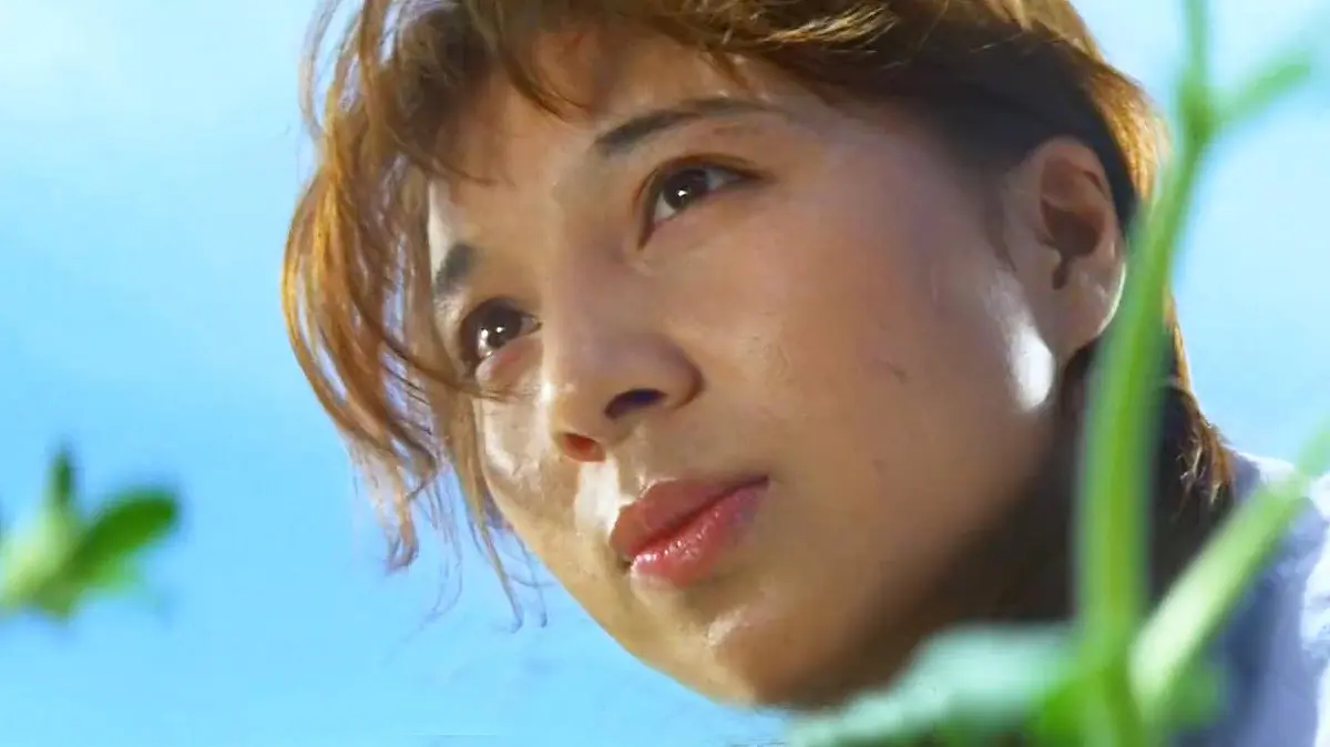 《芦苇地狱》全季完整资源 - 1080P高清画质无广告在线看 - 日本电影撕开小镇暗黑人性秘辛 - 持续有效不卡顿