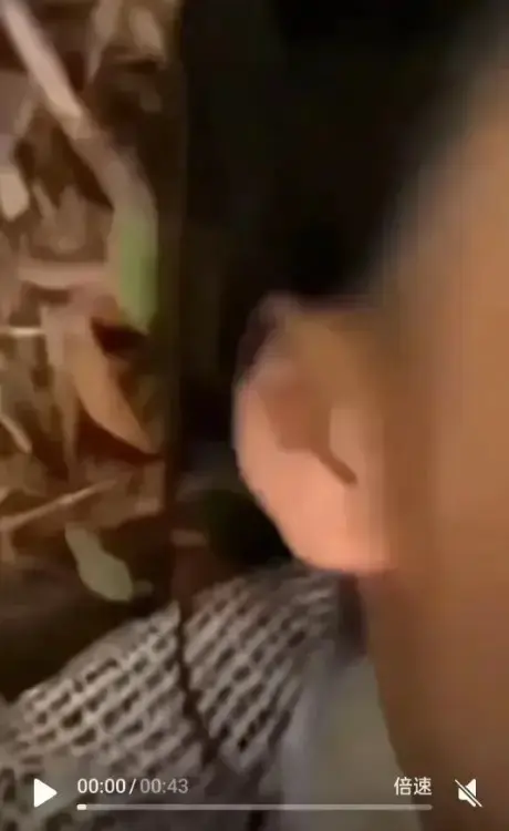 《女轻奢事件》热度飙升！校园轻奢男孩双人大战视频全过程，1080P高清画质免费在线看！