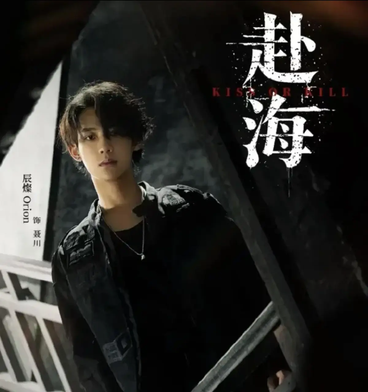 《赴海》全集免费观看-2026爱情剧HD高清完整版-双男主剧情无广告-VS影视在线看《赴海》
