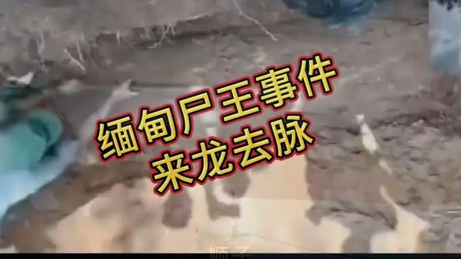 《缅甸僵尸出土事件视频》1080P高清无删减免费看，缅北僵尸出土事件来龙去脉详解，全程实录一次看够